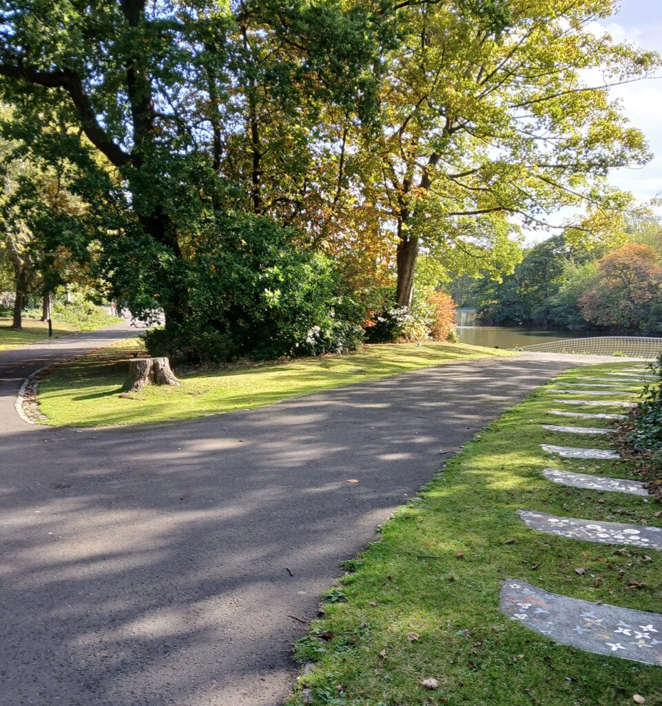 Walk and Talk Therapy